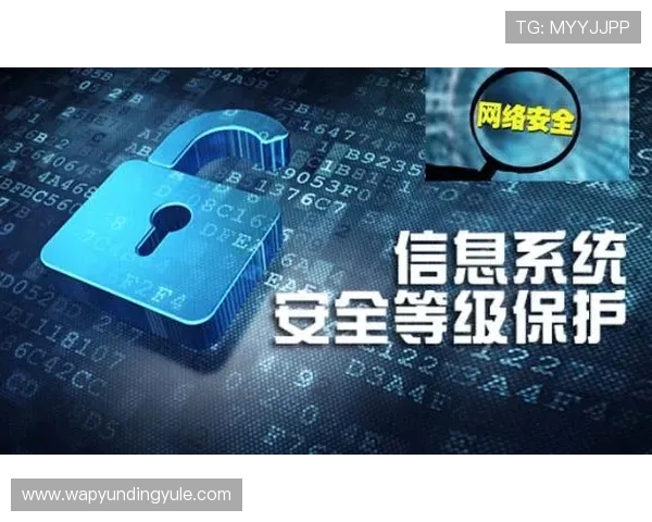 云顶集团登录入口官网安全验证机制介绍,保障用户账号安全与个人信息保护措施详解